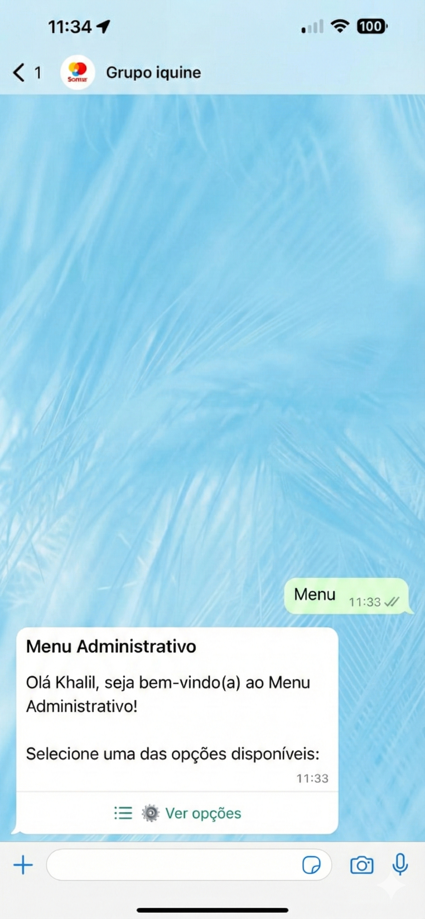 Menu administrativo para gestores, permitindo o controle total do sistema, envio de comunicados em massa e execução de comandos técnicos e consultas.
